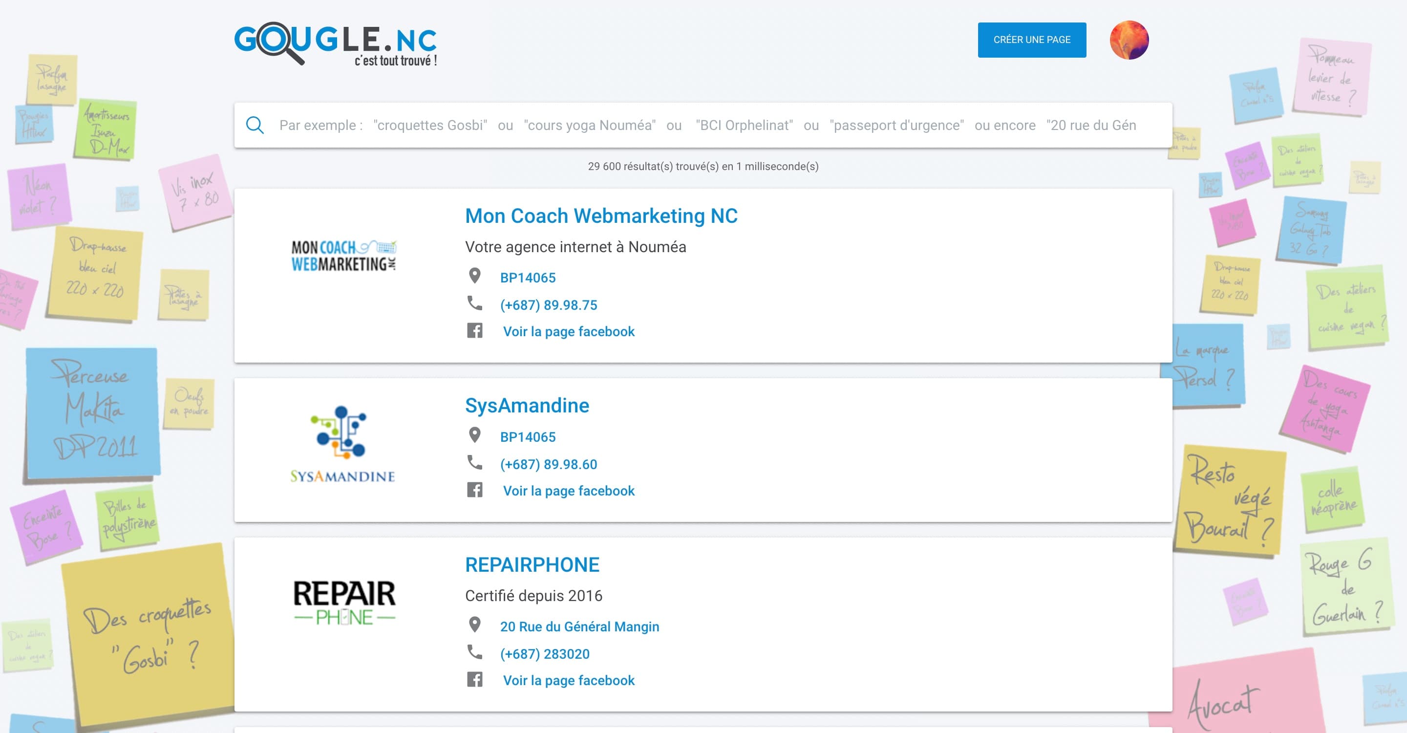 Gougle.nc search page